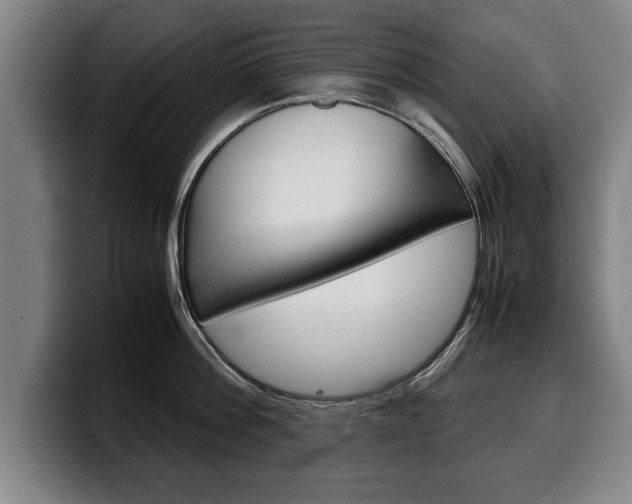 X0000100310812200806051327