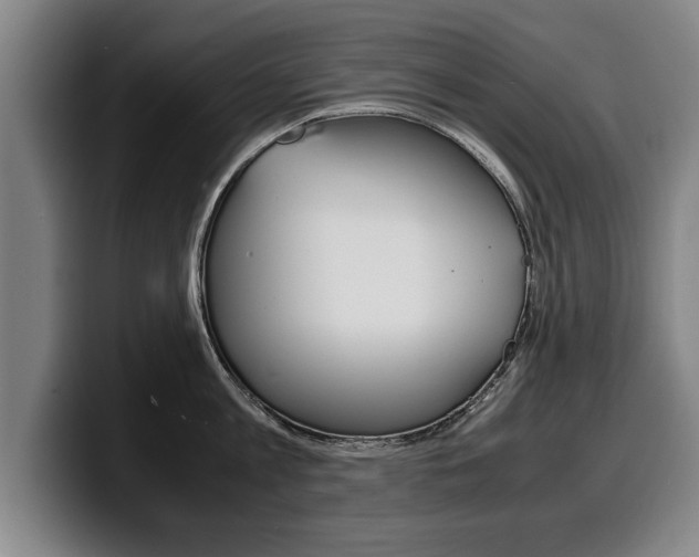X0000100310813200806051327