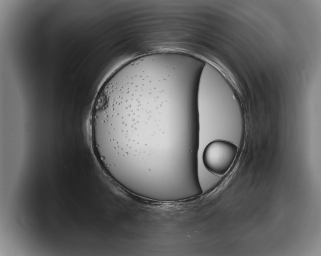 X0000100310814200806051327