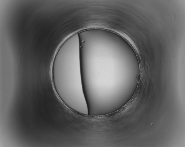 X0000100310815200806051327