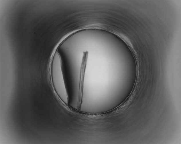 X0000100310816200806051327