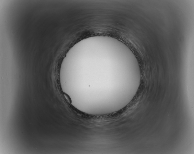 X0000100310817200806051327
