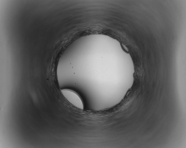 X0000100310818200806051327