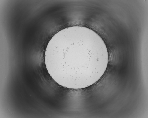 X0000100310820200806051327