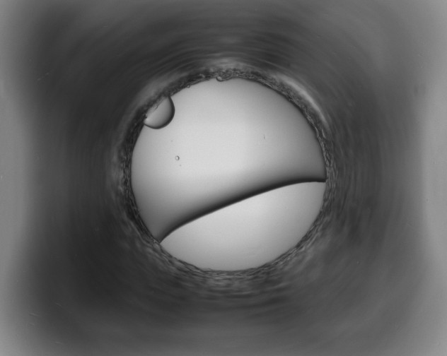 X0000100310823200806051327