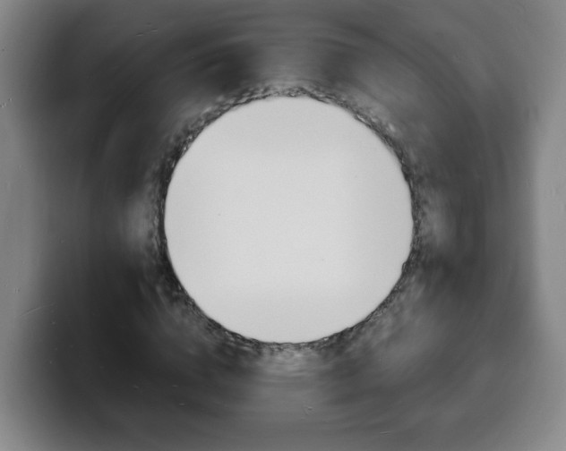 X0000100310824200806051327