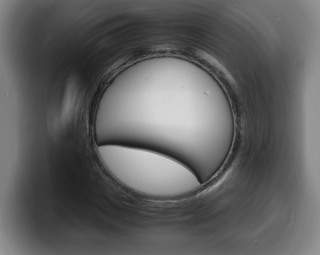 X0000100310825200806051327