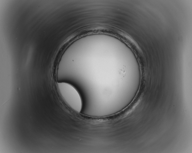 X0000100310826200806051327