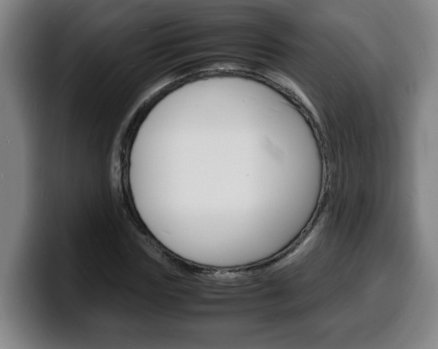 X0000100310827200806051327