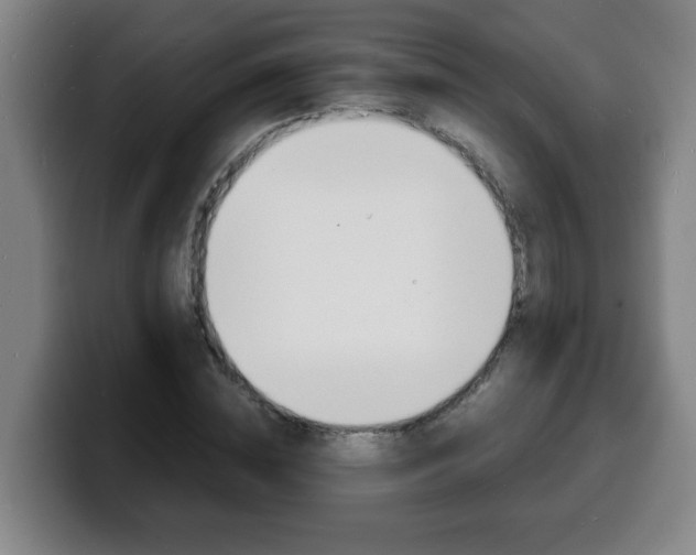 X0000100310828200806051327