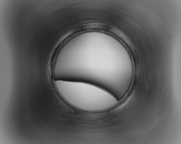 X0000100310829200806051327