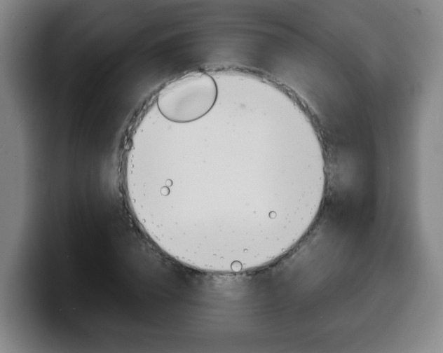 X0000100310832200806051327