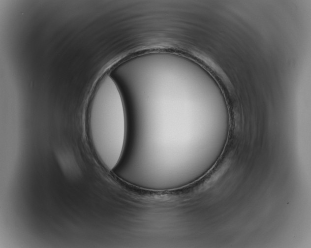 X0000100310834200806051327