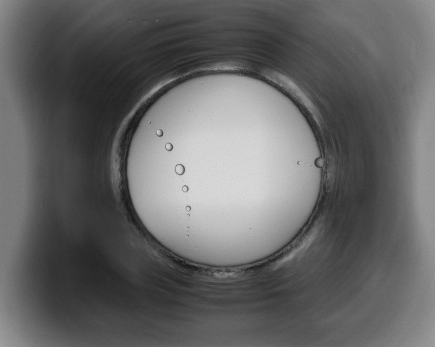 X0000100310835200806051327