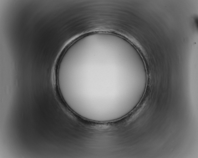 X0000100310838200806051327