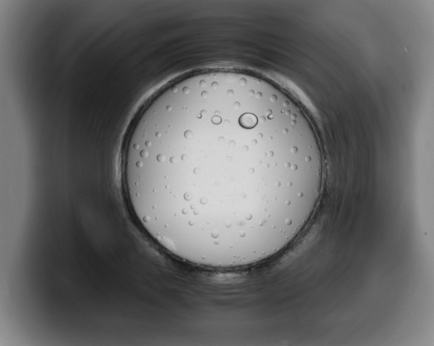 X0000100310839200806051327