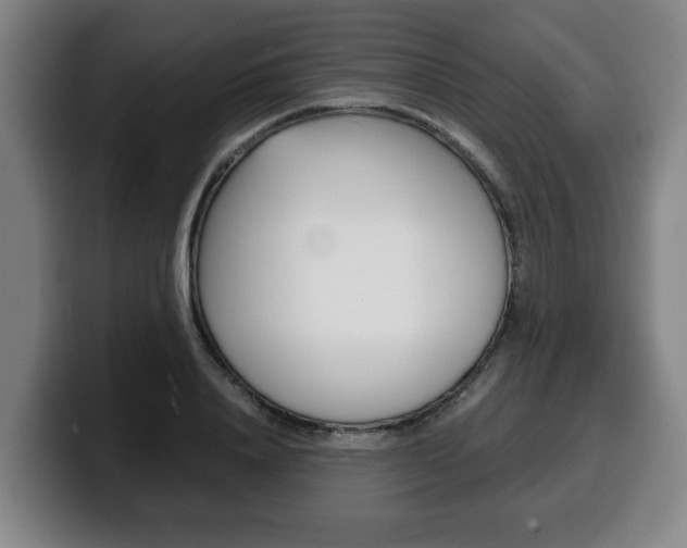 X0000100310840200806051327
