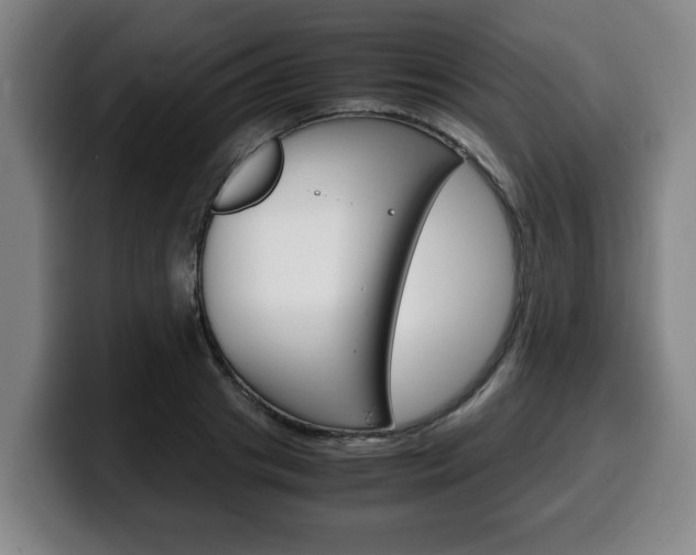 X0000100310841200806051327