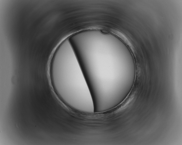 X0000100310843200806051327