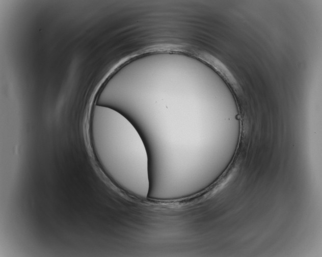 X0000100310844200806051327