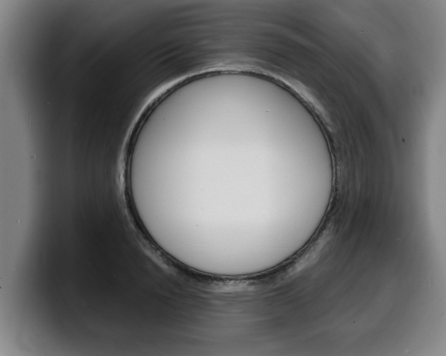 X0000100310846200806051327