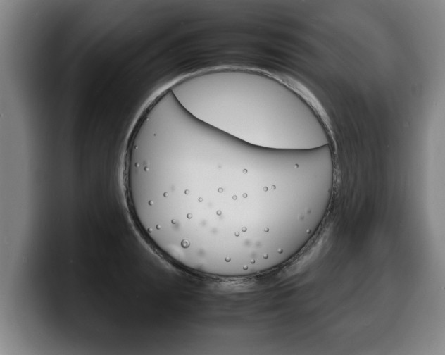 X0000100310847200806051327