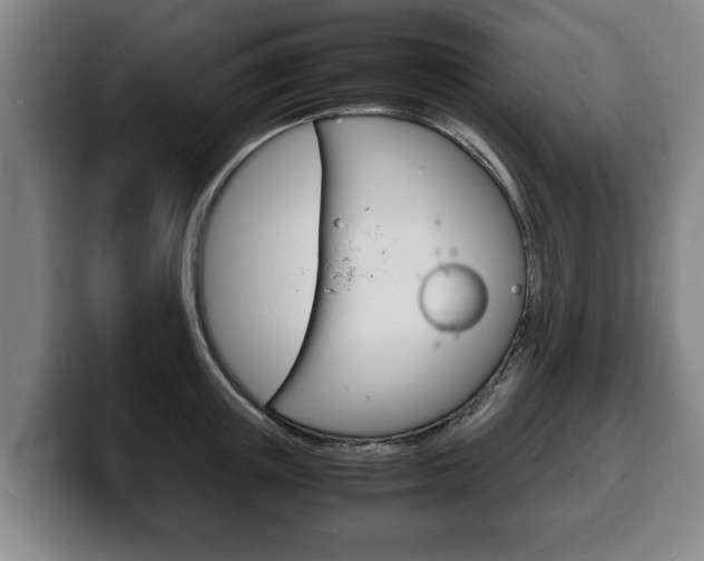X0000100310851200806051327