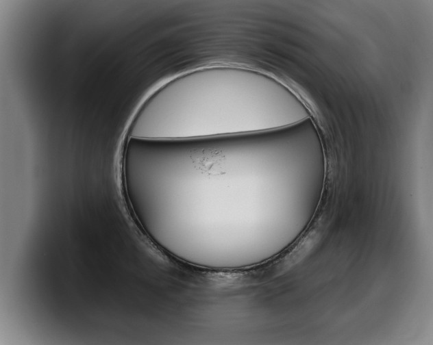 X0000100310854200806051327