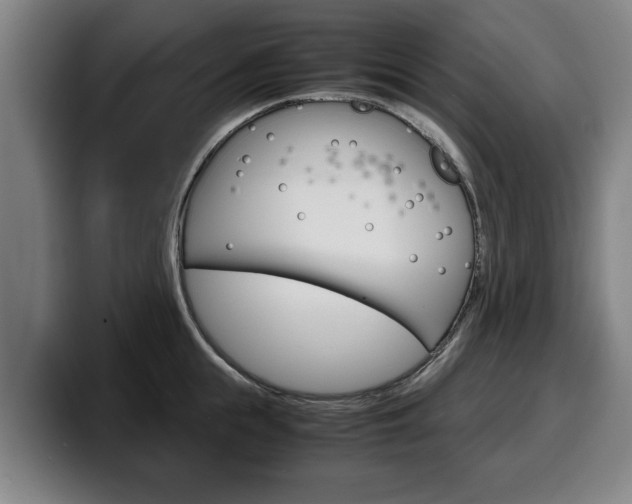 X0000100310855200806051327