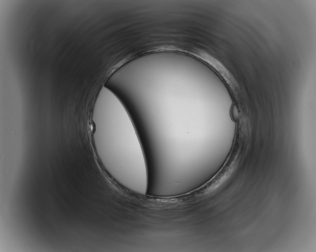 X0000100310857200806051327