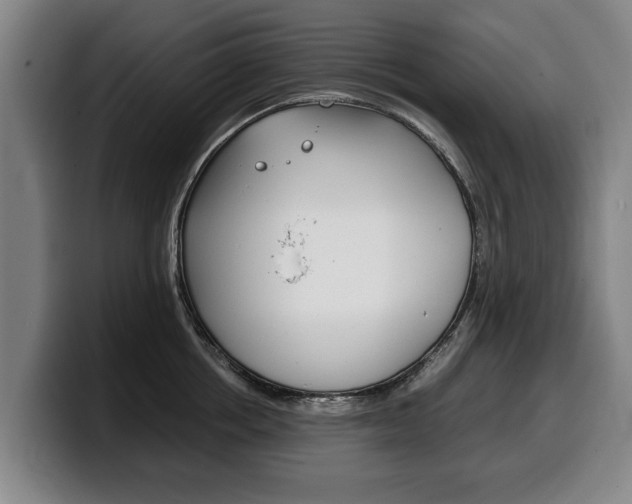 X0000100310858200806051327