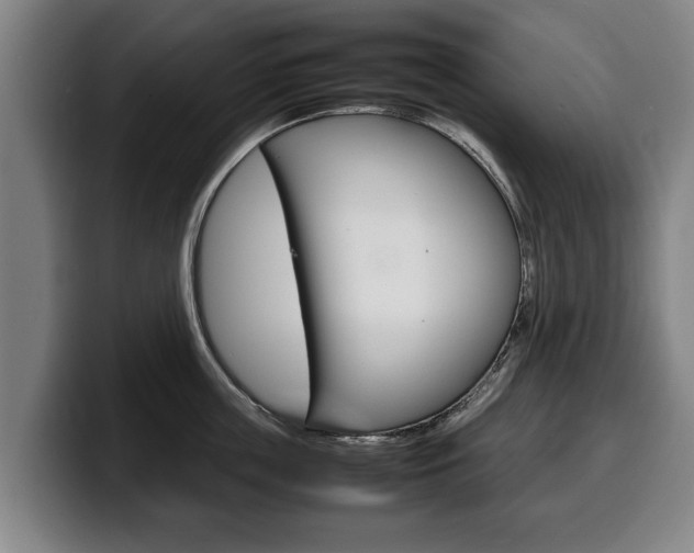 X0000100310859200806051327