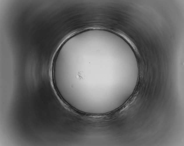 X0000100310861200806051327