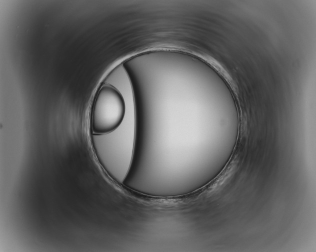 X0000100310862200806051327