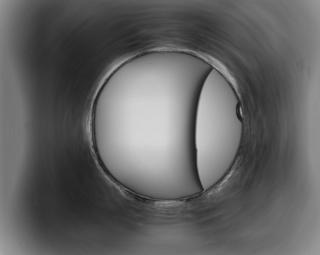 X0000100310863200806051327