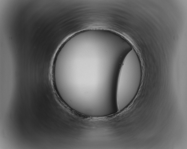 X0000100310864200806051327