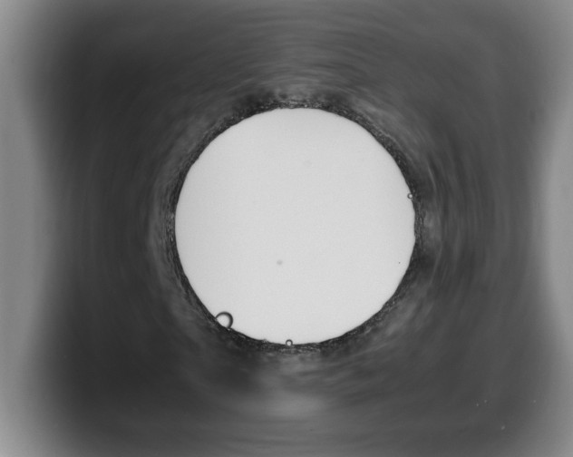 X0000100310865200806051327