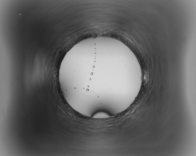 X0000100310867200806051327