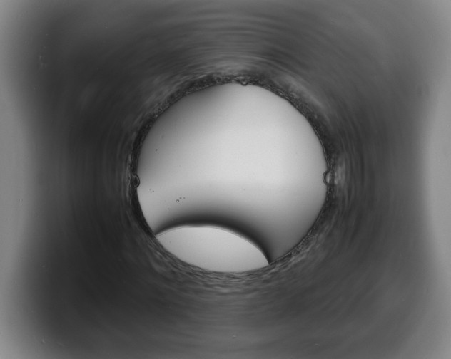 X0000100310868200806051327