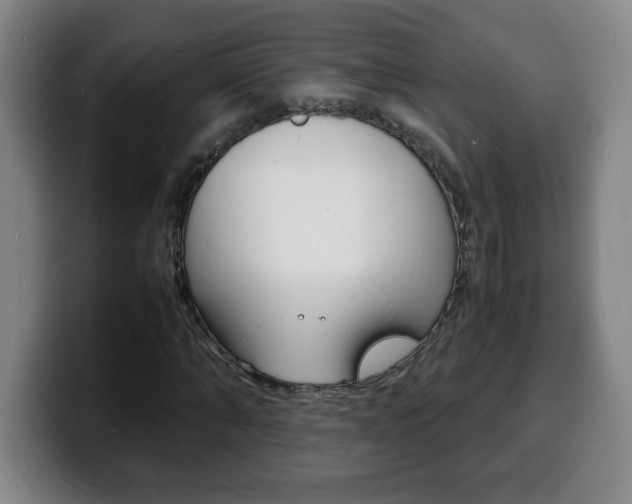 X0000100310870200806051327