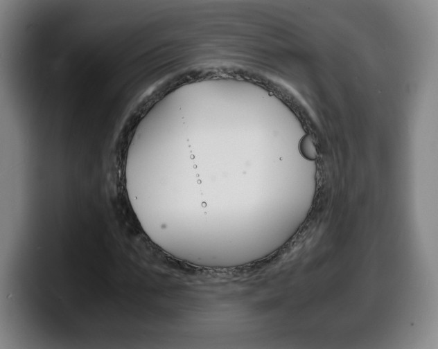X0000100310871200806051327