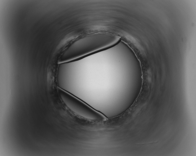 X0000100310872200806051327