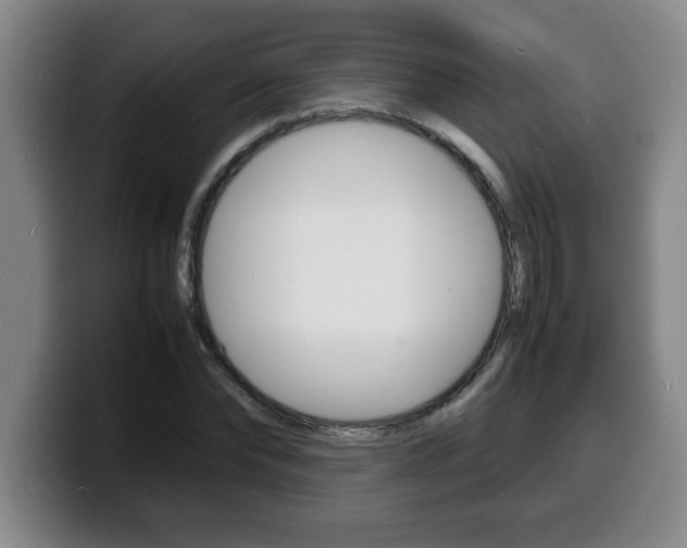 X0000100310878200806051326