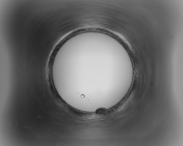X0000100310879200806051326