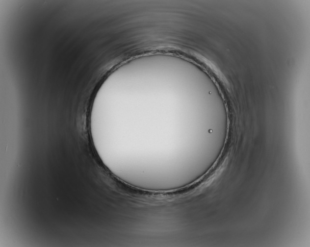 X0000100310881200806051326