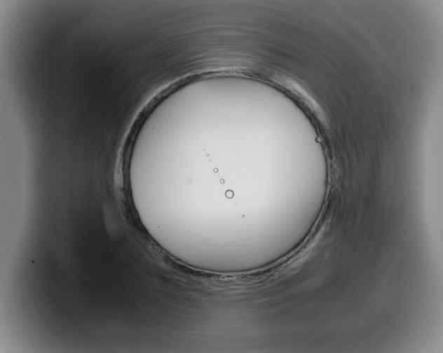 X0000100310883200806051326