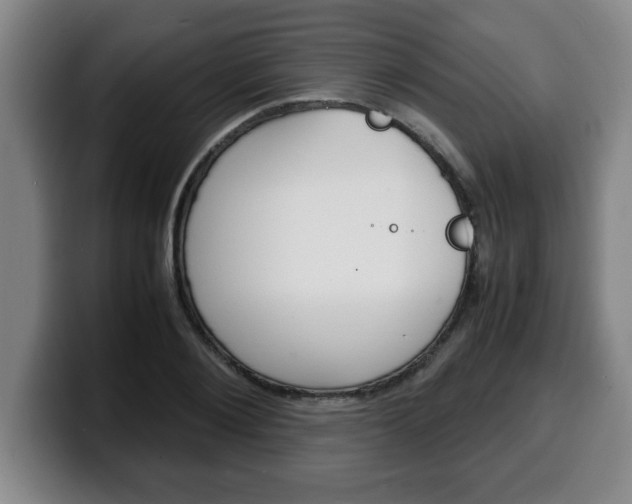 X0000100310884200806051326