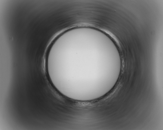 X0000100310886200806051326