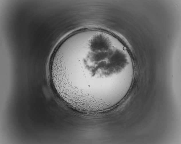 X0000100310887200806051326