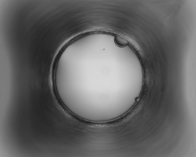 X0000100310888200806051326